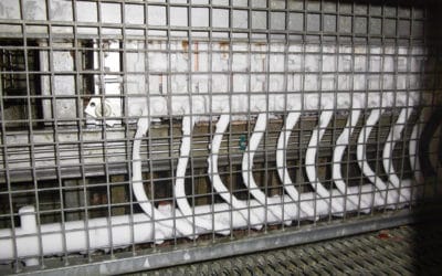 Quel flexible pour des congélateurs à plaque dans l’industrie agro-alimentaire ?